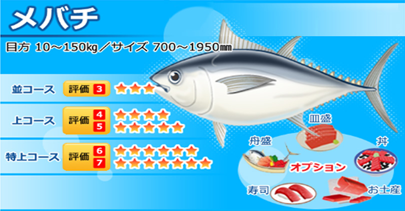 tuna_03_mebachi