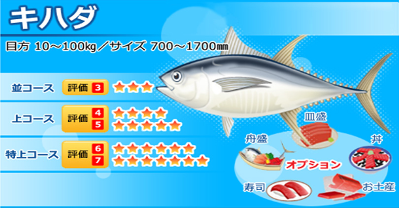tuna_04_kihada